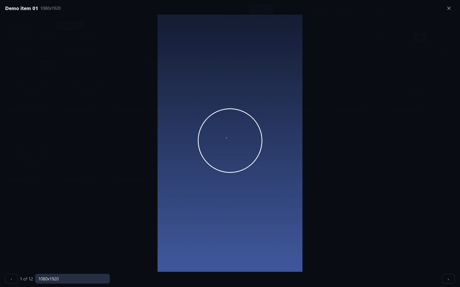 The viewer in Phantom Recorder: one item shown full size, with the quality selector at the bottom